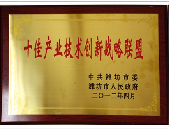 十佳產業技術創新戰略聯盟