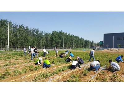 在這豐收喜悅的季節里，我們滿載而歸